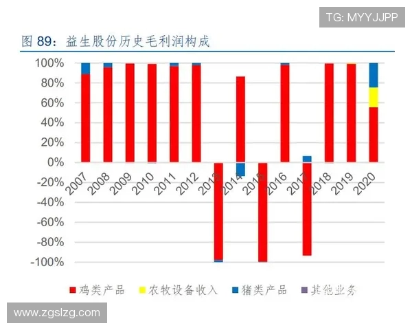 赖斯的外交策略与全球影响力分析：从历史到未来的深度探讨